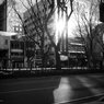 On The Sunny Side Of Town (Jan.27, 2024)
