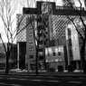On The Sunny Side Of Town (Jan.27, 2024)