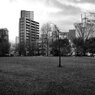 On The Sunny Side Of Town (Jan.27, 2024)