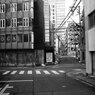 On The Sunny Side Of Town (Jan.27, 2024)