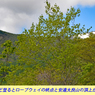 リハビリ山行・安達太良山登頂 2022(8)
