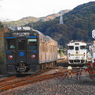 ローカル駅の離合