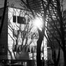 On The Sunny Side Of Town (Feb.2, 2024)