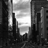 On The Sunny Side Of Town (Feb.3, 2024)