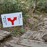 リハビリ山行・安達太良山登頂 2022 (42)