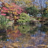 紅葉の日本庭園2