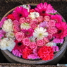 花まいり　バレンタインハート