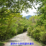 足柄古道を歩いての金時山登頂 2019 (23)