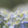 Pastel world