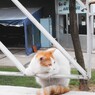 高みの見物～～♪