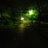 夜の散歩