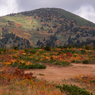 9～10月　八甲田の紅葉