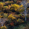 11～12月　紅葉名所：栗駒山の早朝の紅葉