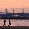 横浜の朝 1