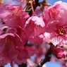 日が照ってきた