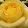 DSC02003