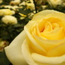 DSC02004