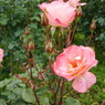 DSC02028