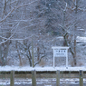 雪と小湊鉄道4