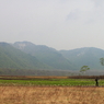 IMG_9112