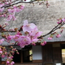 民家園
