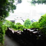 tokoname no sakamichi 1