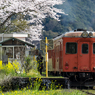 桜といすみ鉄道その1の1