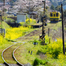 桜といすみ鉄道その1の2