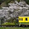 桜といすみ鉄道その1の4