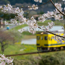 桜といすみ鉄道その1の3