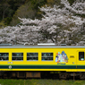 桜といすみ鉄道その2の8