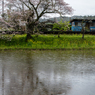 桜と小湊鉄道その2の1