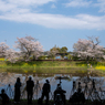 桜と小湊鉄道その2の3