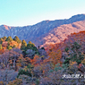 山陰の秋路(大山・三徳山) 2006 (15)