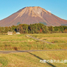 山陰の秋路 (大山・三徳山) 2006 (17)