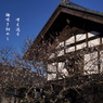 写真句：蔵梅
