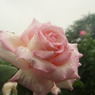 DSC01213
