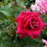 DSC01234