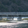 DSC02512