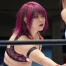 パソコン週刊プロレスを見てみると
