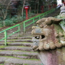 狛犬_新田神社