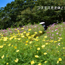 秋の里山ガーデンフェスタ 2020 (22)