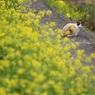 春の実感