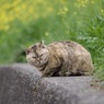 春の視線