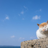 ほにゃにゃ
