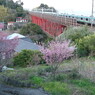 花と赤い鉄橋