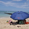 Holiday
