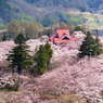 高遠白山観音から（2007/4-8）