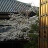 京都（2007／4-1）