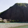 古座川1枚岩の桜#2